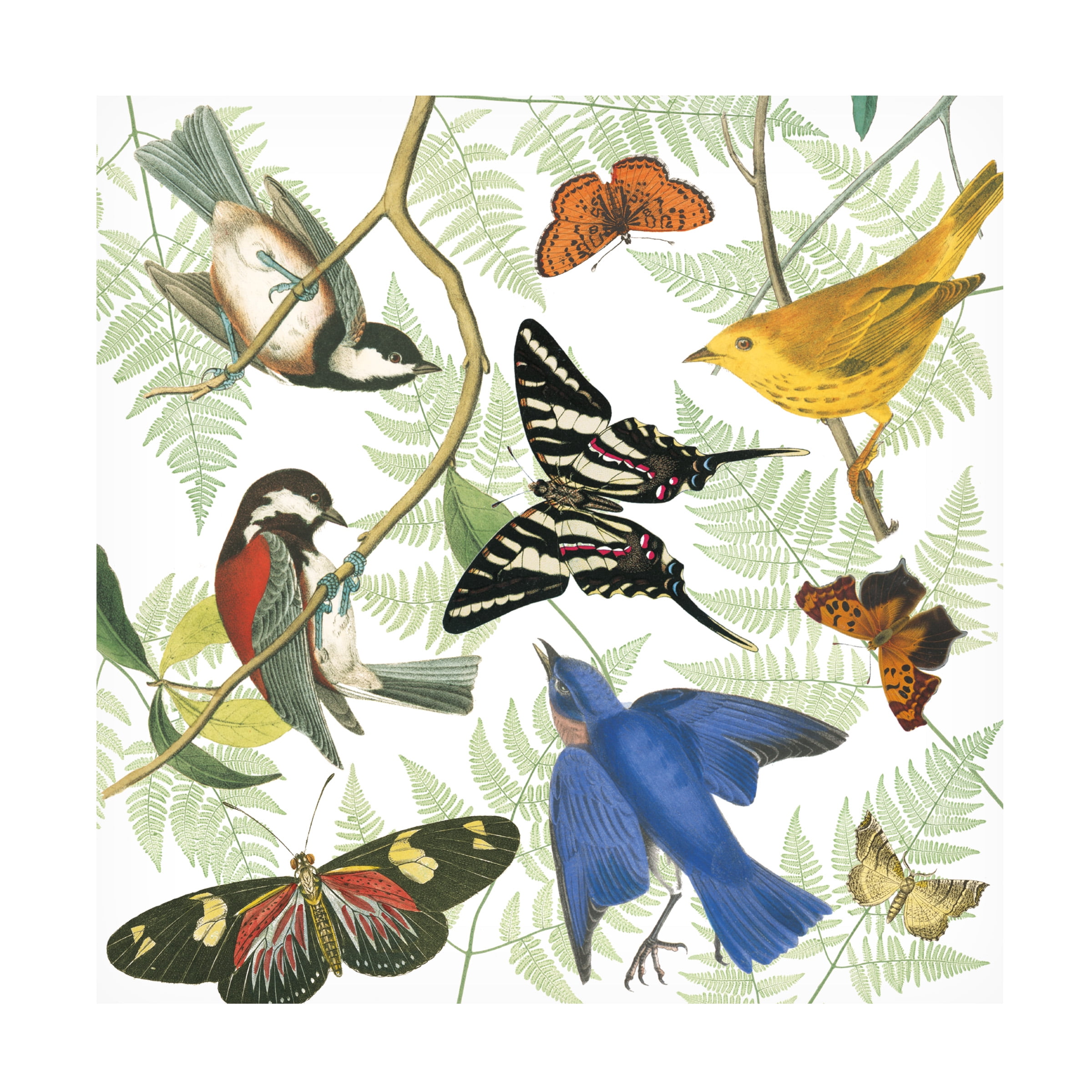 Trademark Fine Art 'Natures Flight II' Canvas Art by Wild Apple Portfolio