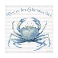 thumbnail image 1 of Trademark Fine Art 'Nautical Life X' Canvas Art by Lisa Audit, 1 of 4