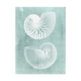 thumbnail image 1 of Trademark Fine Art 'Nautilus on Spa I' Canvas Art by Vision Studio, 1 of 4