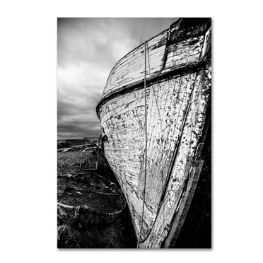 Trademark Fine Art 'Need Water' Canvas Art by Dan Ballard