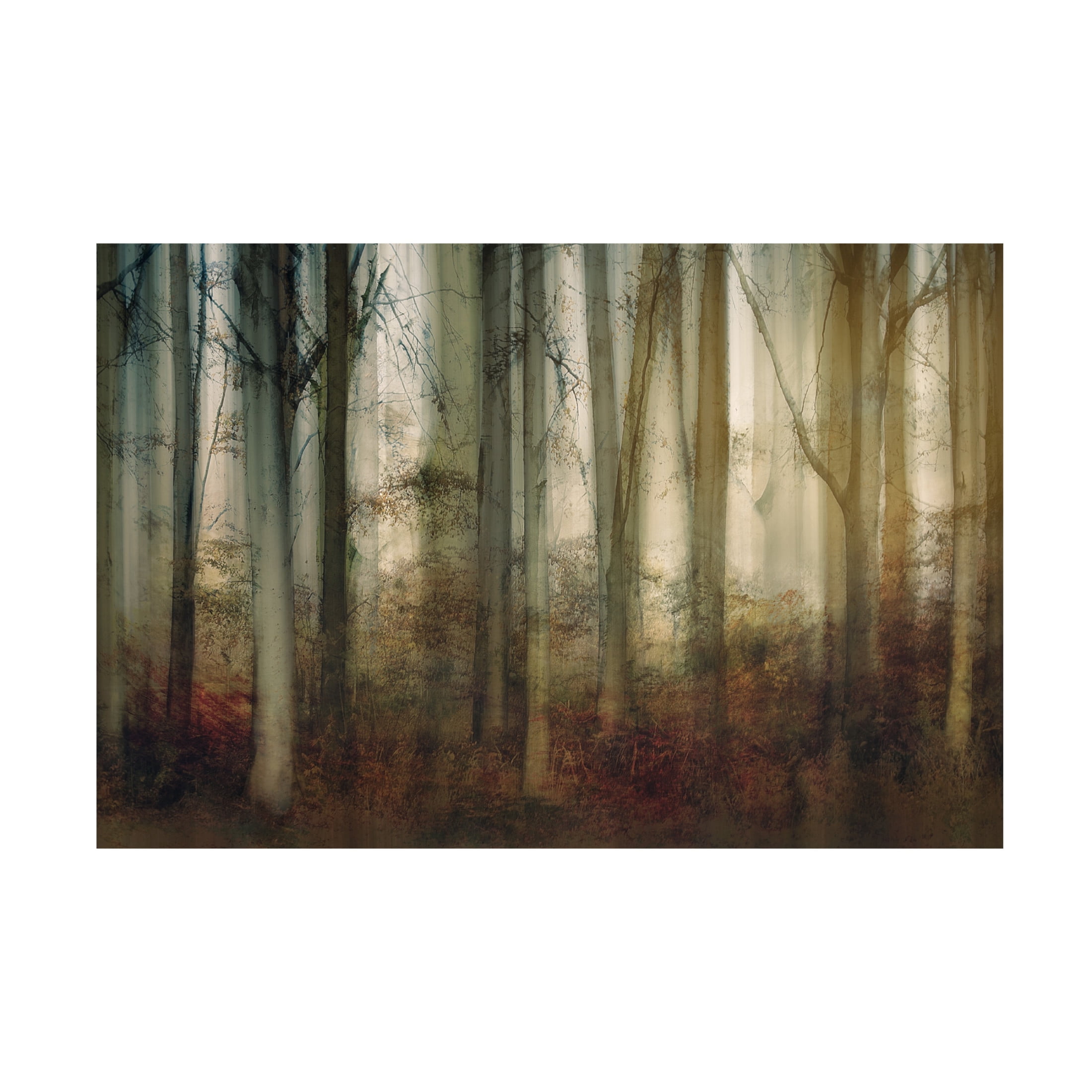 Trademark Fine Art Nel Talen Autumn Light Canvas Wall Art