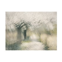 Trademark Fine Art Nel Talen  Cherry blossom Canvas Wall Art