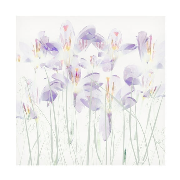 Trademark Fine Art Nel Talen Crocuses In The Grass Canvas Wall Art