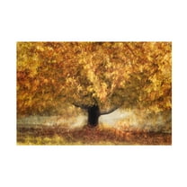 Trademark Fine Art Nel Talen Gold Colors Canvas Wall Art