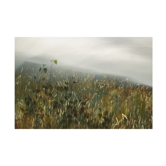 Trademark Fine Art Nel Talen In the field Canvas Wall Art