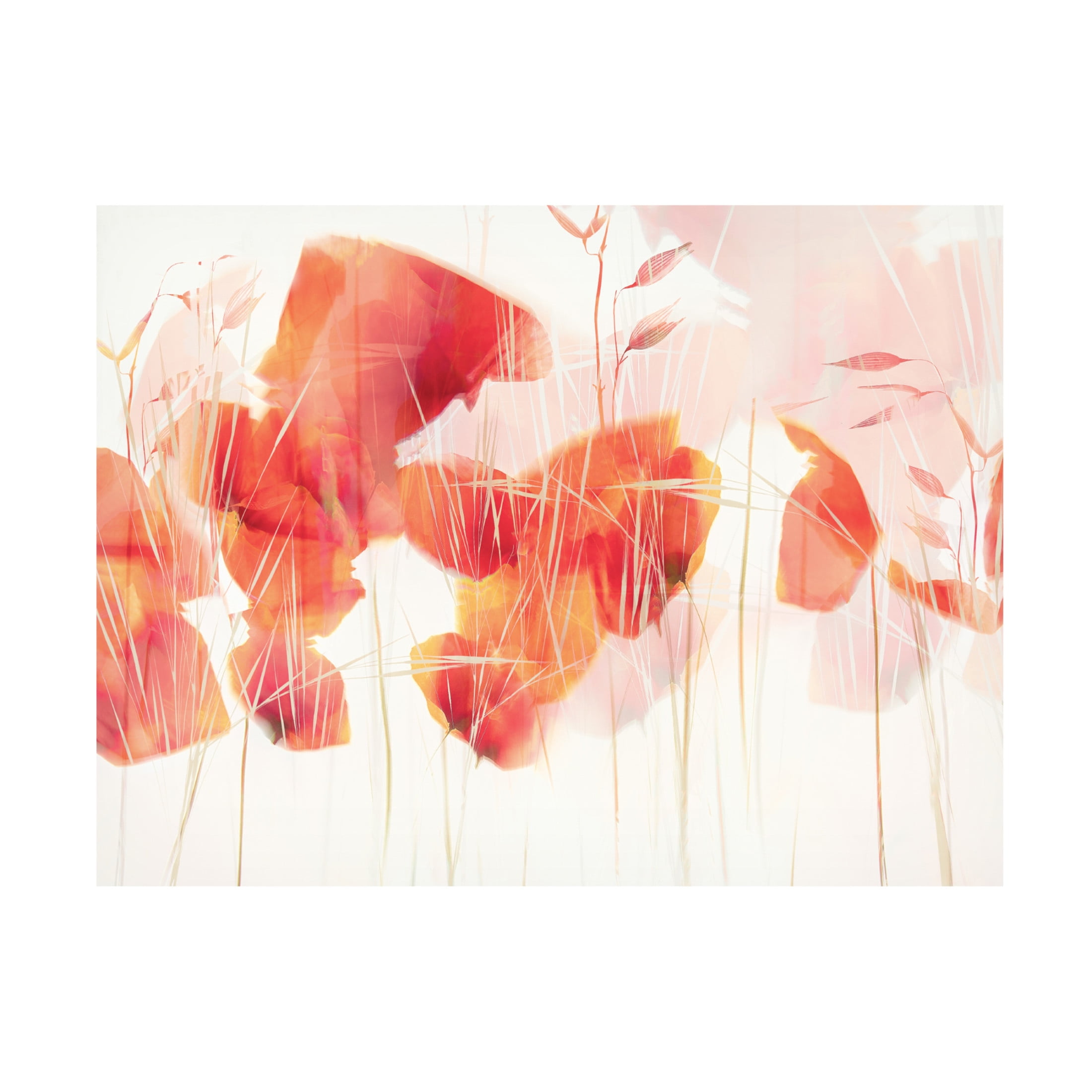 Trademark Fine Art Nel Talen Modern poppies Canvas Wall Art