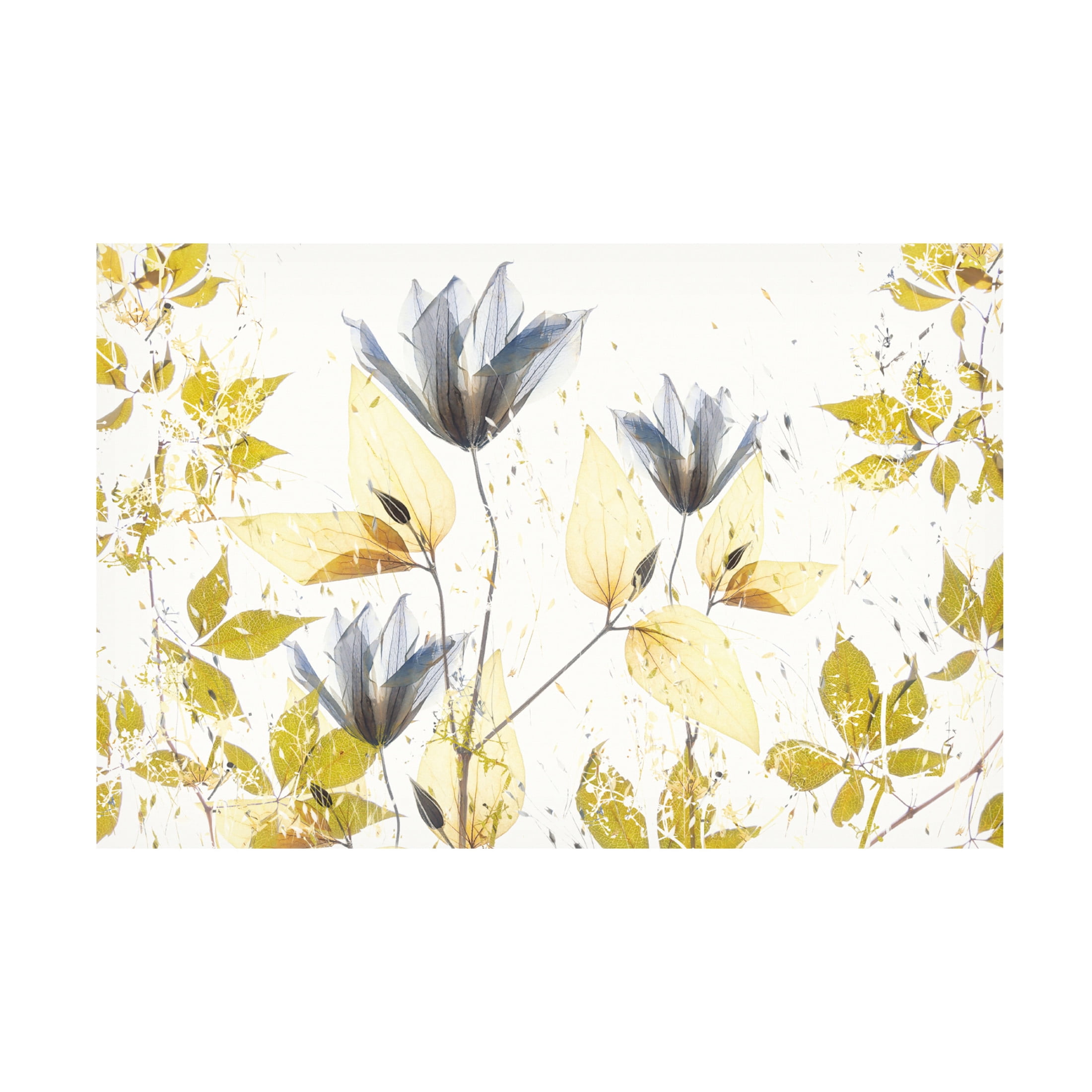 Trademark Fine Art Nel Talen  Spring vibe Canvas Wall Art