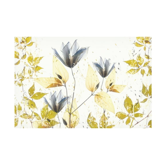 Trademark Fine Art Nel Talen  Spring vibe Canvas Wall Art