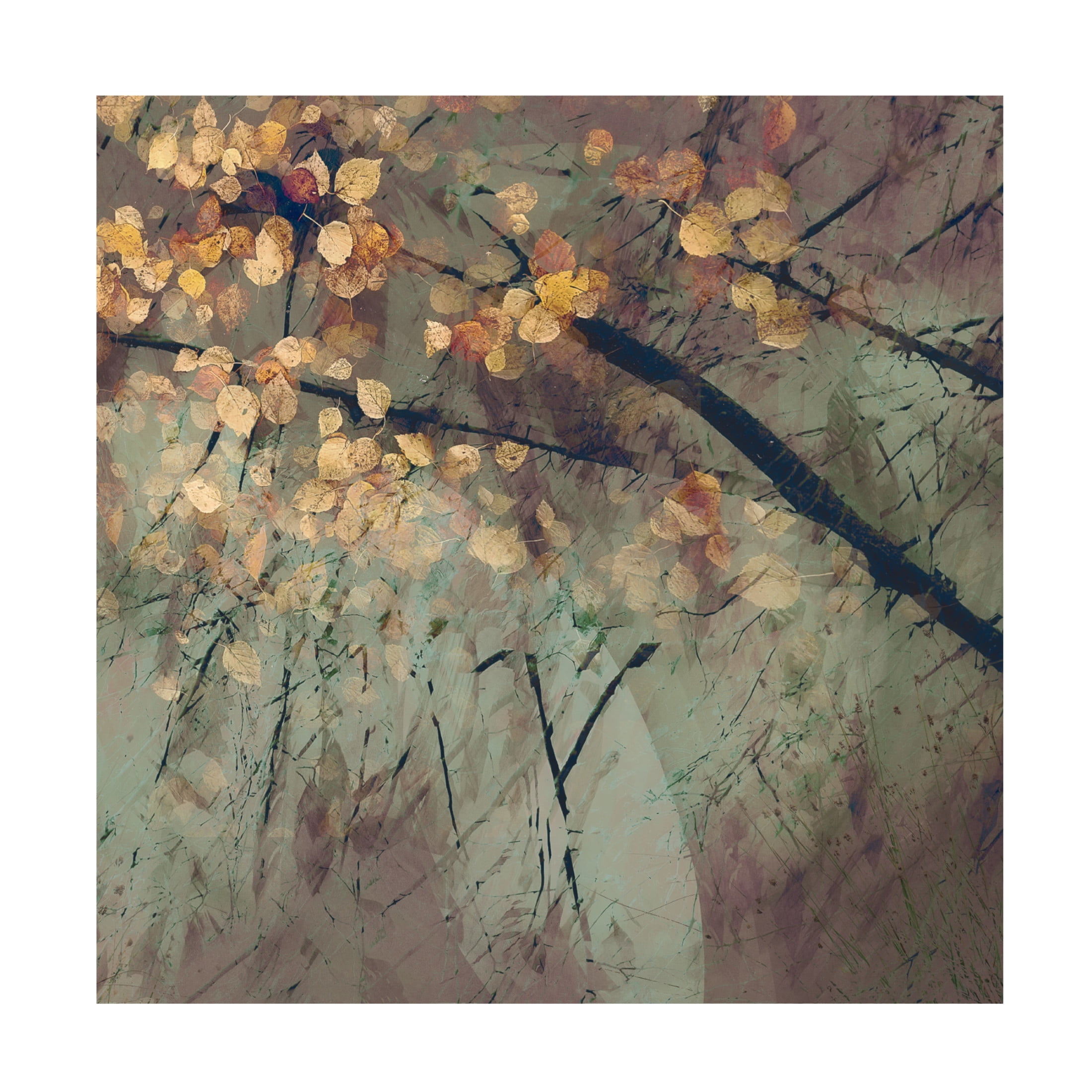 Trademark Fine Art Nel Talen Tomorrow Canvas Wall Art