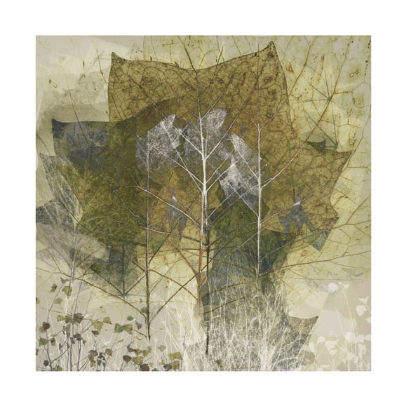 Trademark Fine Art Nel Talen Transient Canvas Wall Art