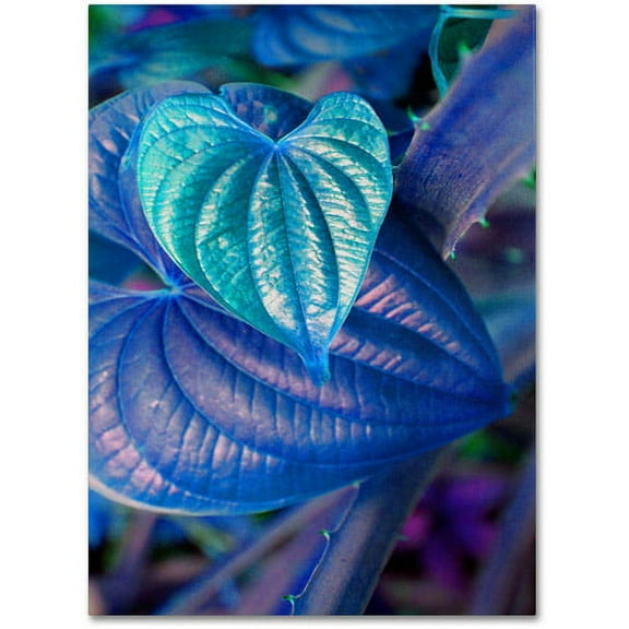 Trademark Fine Art "Neon Hearts" Canvas Wall Art by Patty Tuggle