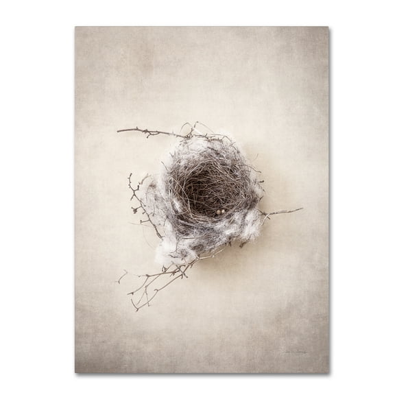 Trademark Fine Art 'Nest III' Canvas Art by Debra Van Swearingen
