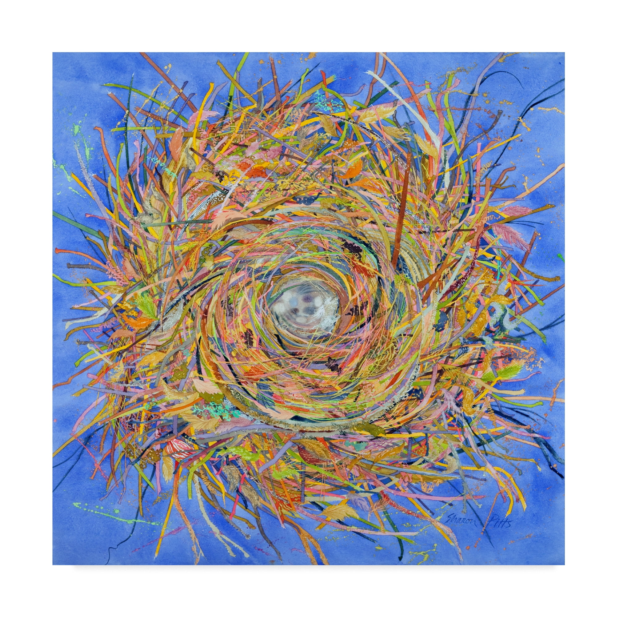 Trademark Fine Art 'Nest Vortex' Canvas Art by Sharon Pitts