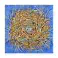 thumbnail image 1 of Trademark Fine Art 'Nest Vortex' Canvas Art by Sharon Pitts, 1 of 3