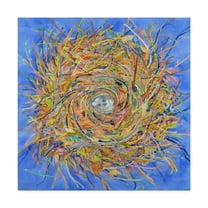 Trademark Fine Art 'Nest Vortex' Canvas Art by Sharon Pitts