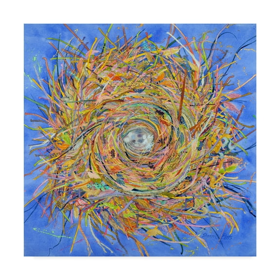 Trademark Fine Art 'Nest Vortex' Canvas Art by Sharon Pitts