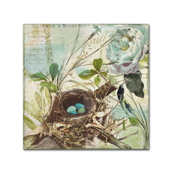 Trademark Fine Art "Nesting II" Canvas Art by Color Bakery