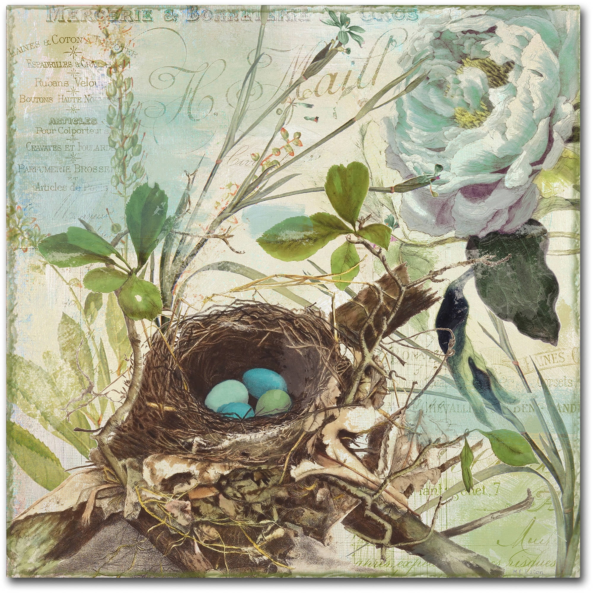 Trademark Fine Art "Nesting II" Canvas Art by Color Bakery