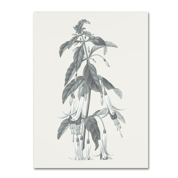 Trademark Fine Art 'Neutral Botanical I' Canvas Art by Wild Apple Portfolio