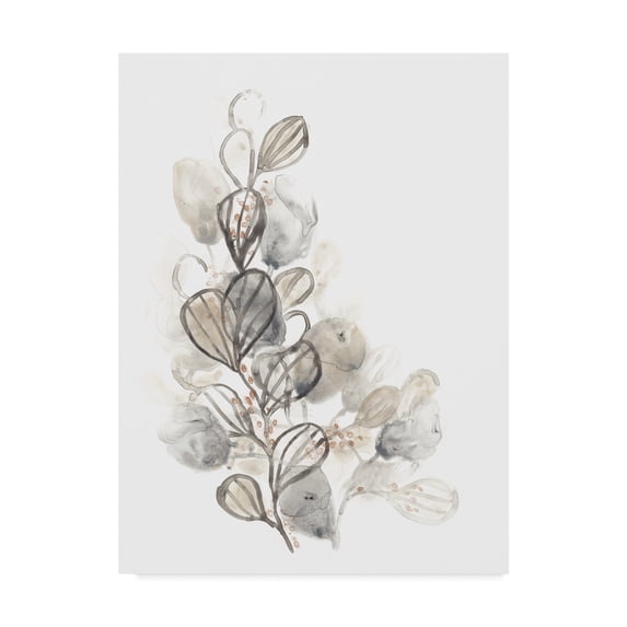 Trademark Fine Art 'Neutral Botany II' Canvas Art by June Erica Vess