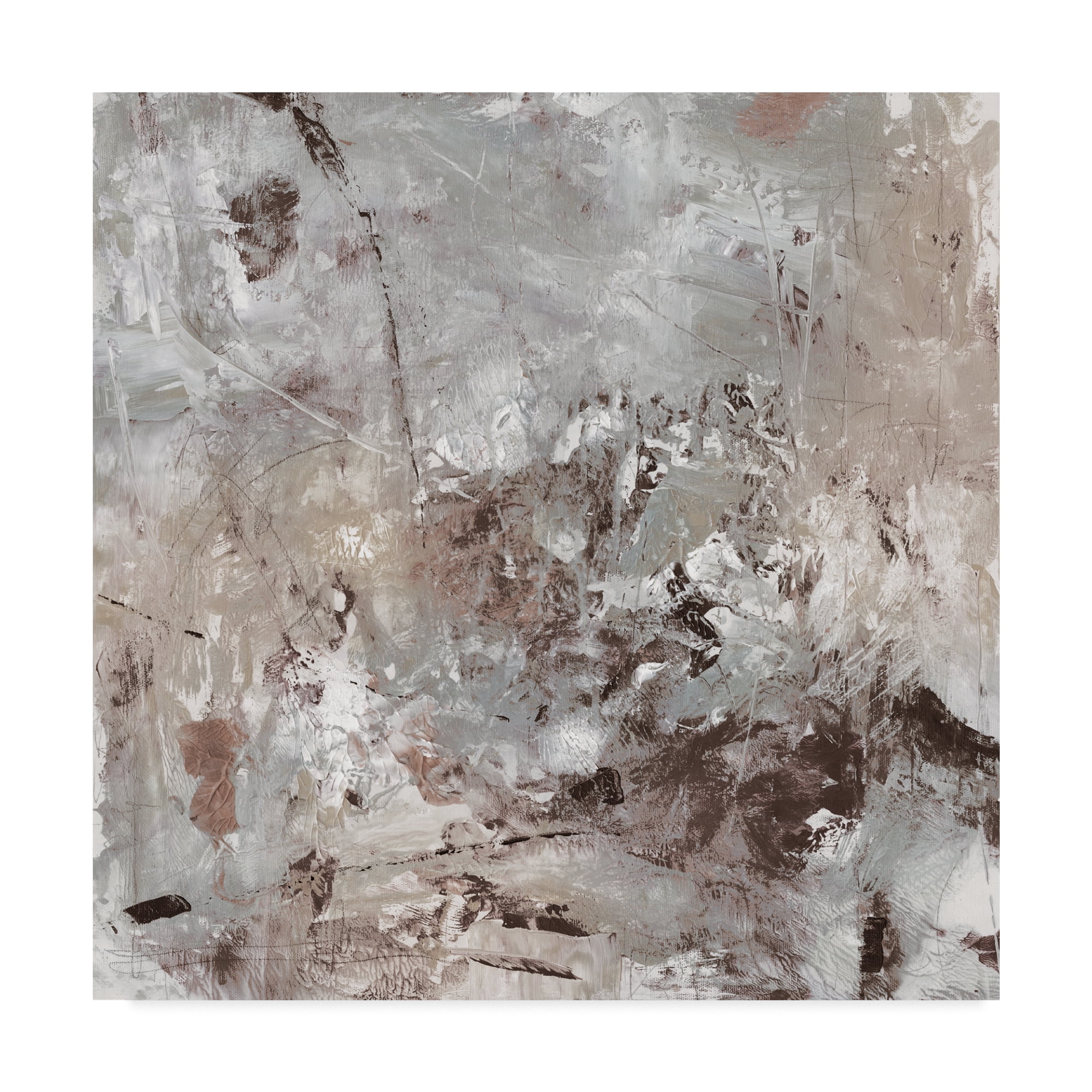 Trademark Fine Art 'Neutral Display I' Canvas Art by Tim OToole