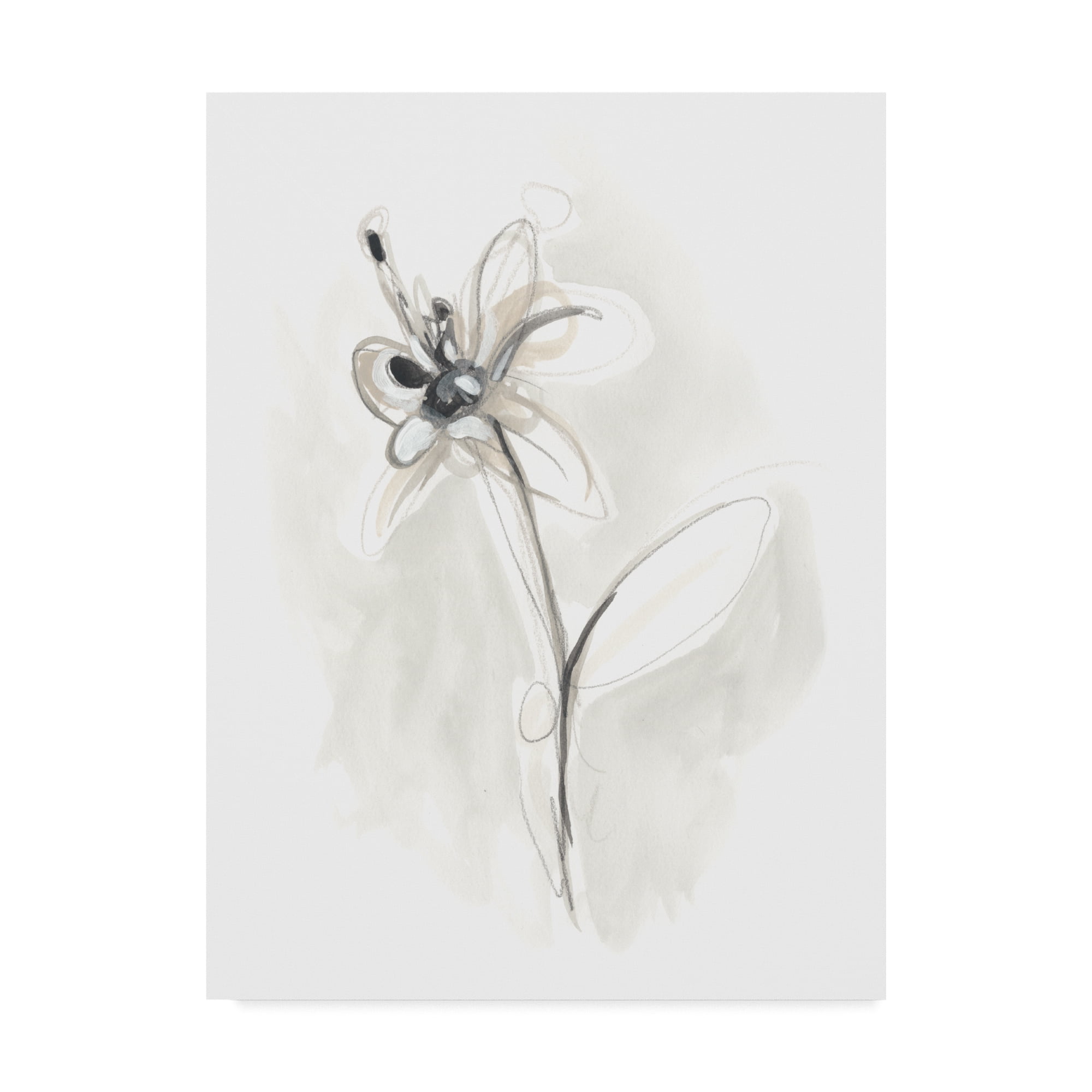 Trademark Fine Art 'Neutral Floral Gesture IX' Canvas Art by June Erica Vess