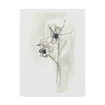 Trademark Fine Art 'Neutral Floral Gesture VII' Canvas Art by June Erica Vess