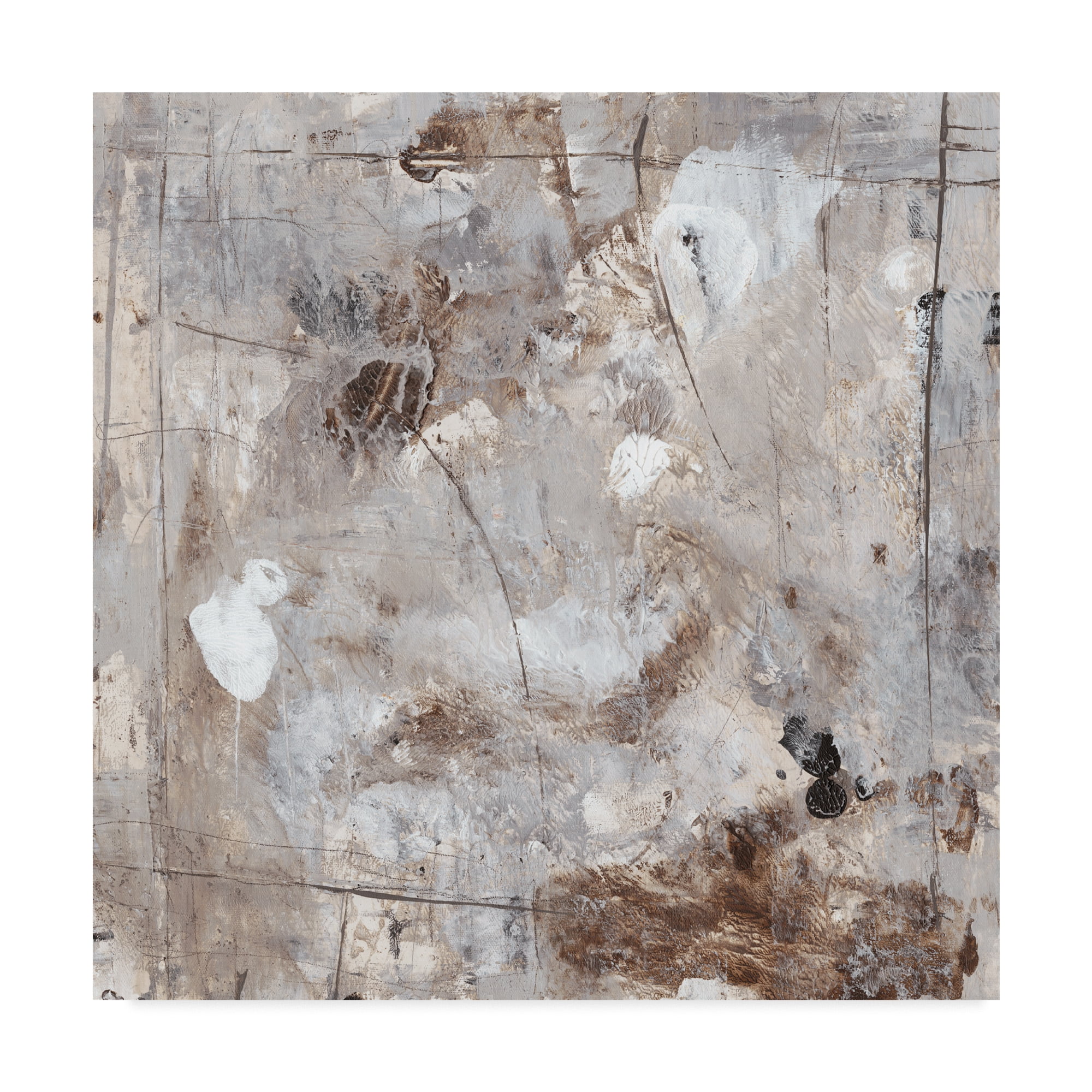 Trademark Fine Art 'Neutral Jostle II' Canvas Art by Tim OToole