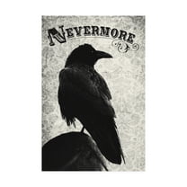 Trademark Fine Art 'Nevermore Black River' Canvas Art by Michael Buxto