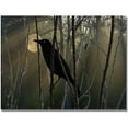 thumbnail image 1 of Trademark Fine Art "Nevermore Night and Day" Canvas Art by Patty Tuggle, 1 of 2