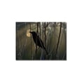 thumbnail image 1 of Trademark Fine Art "Nevermore Night and Day" Canvas Art by Patty Tuggle, 1 of 2