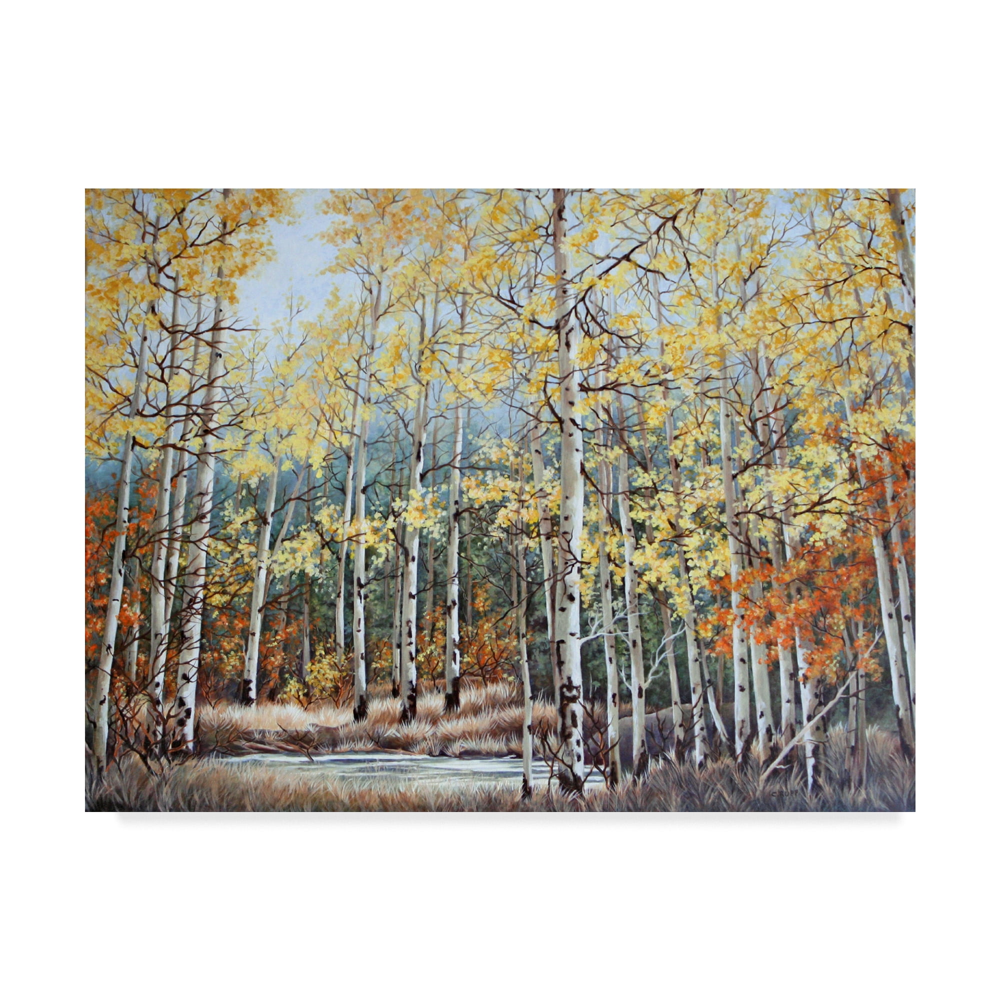 Trademark Fine Art 'New Aspen Grove' Canvas Art by Carol J Rupp