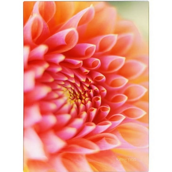 Trademark Fine Art 'New Beginnings' Canvas Art by Kathy Yates