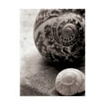thumbnail image 1 of Trademark Fine Art 'New Discoveries No Border' Canvas Art by Sue Schlabach, 1 of 3