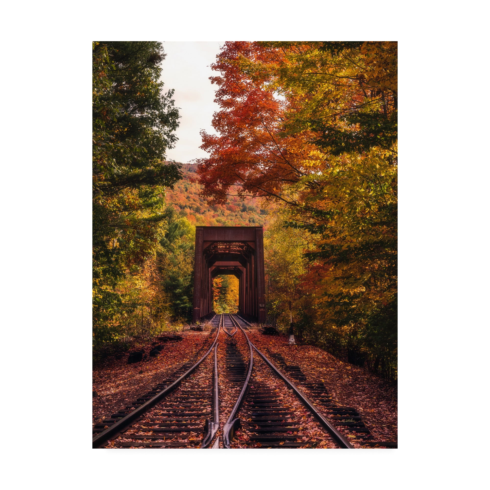 Trademark Fine Art 'New England Train Trestle Bridge' Canvas Art by Bruce Gett
