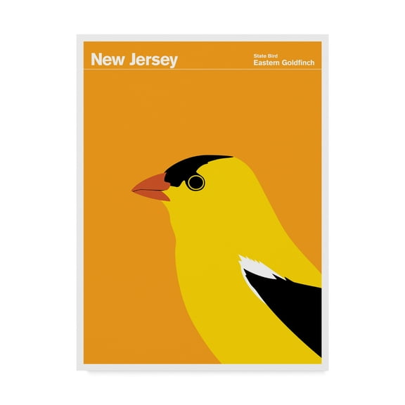 Trademark Fine Art 'New Jersey Bird Eastern Goldfinch' Canvas Art by Print Collection - Artist