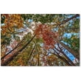thumbnail image 1 of Trademark Fine Art "New York Fall-I" Canvas Art by David Ayash, 1 of 3