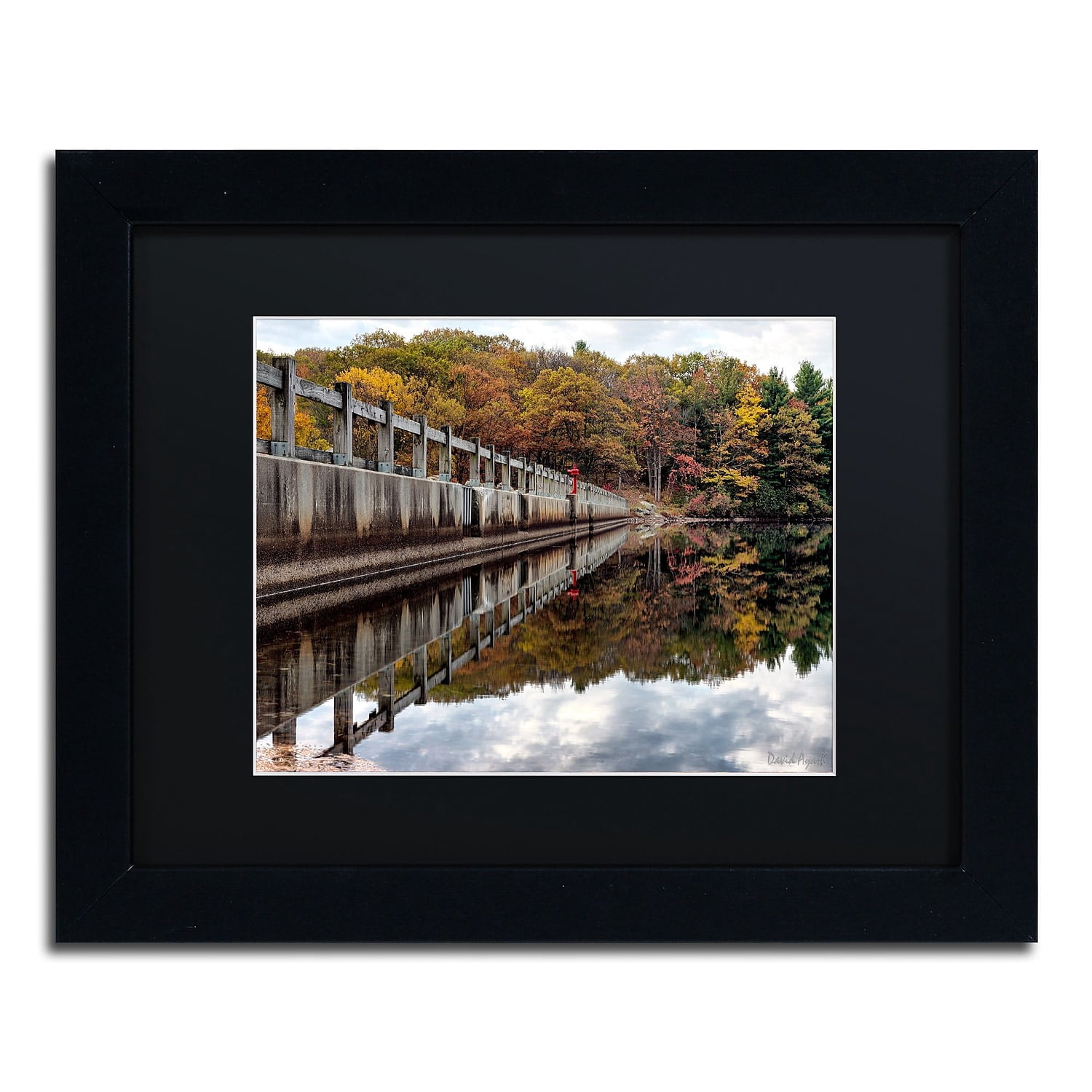Trademark Fine Art "New York in Fall" Canvas Art by David Ayash Black Matte, Black Frame