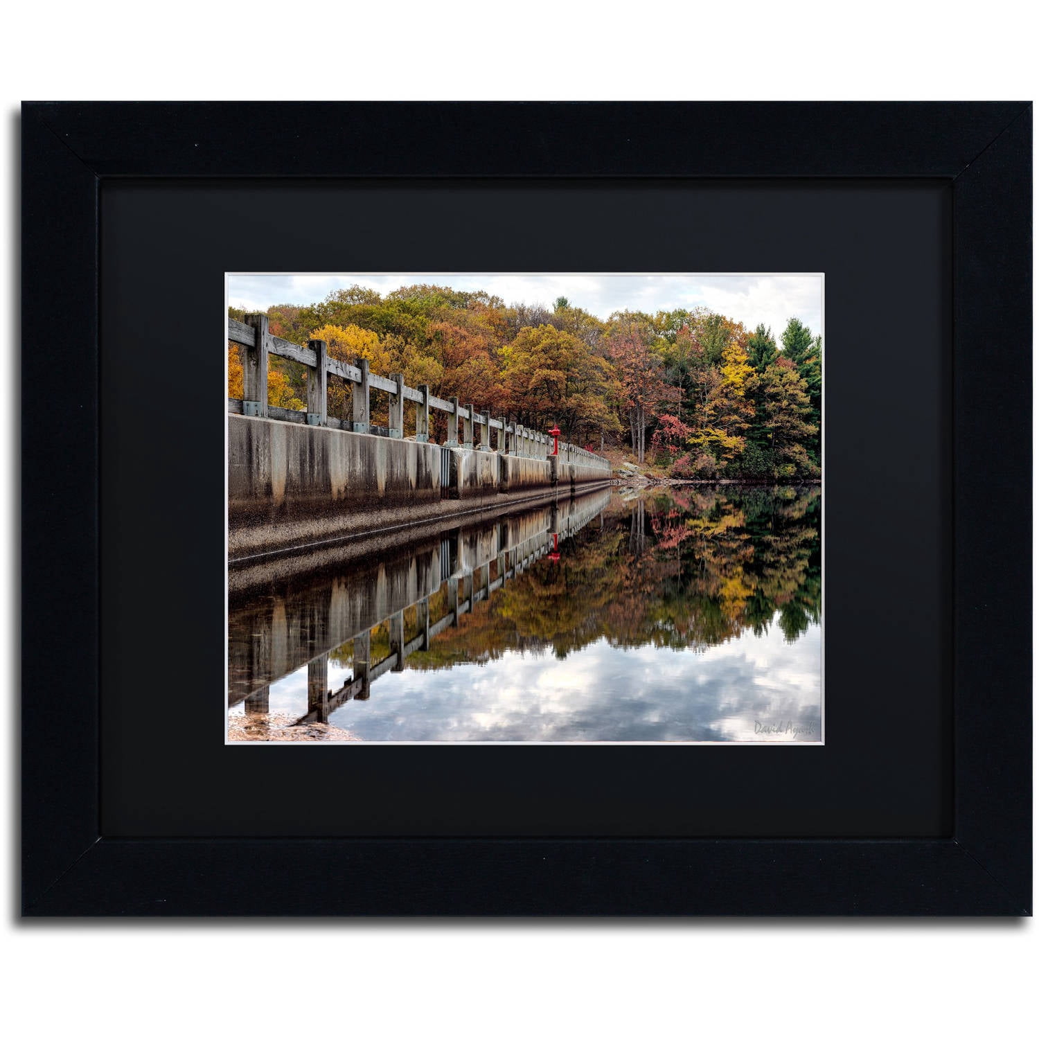 Trademark Fine Art "New York in Fall" Canvas Art by David Ayash Black Matte, Black Frame