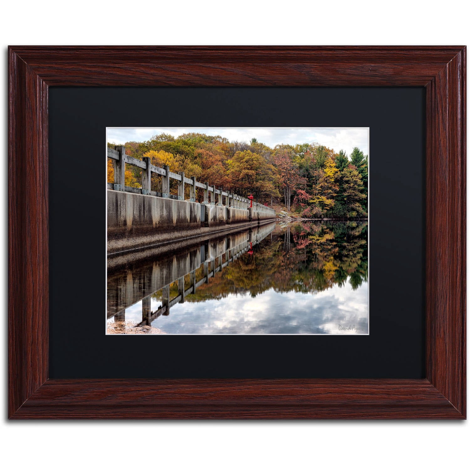 Trademark Fine Art "New York in Fall" Canvas Art by David Ayash Black Matte, Wood Frame