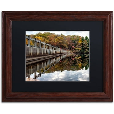 Trademark Fine Art "New York in Fall" Canvas Art by David Ayash Black Matte, Wood Frame