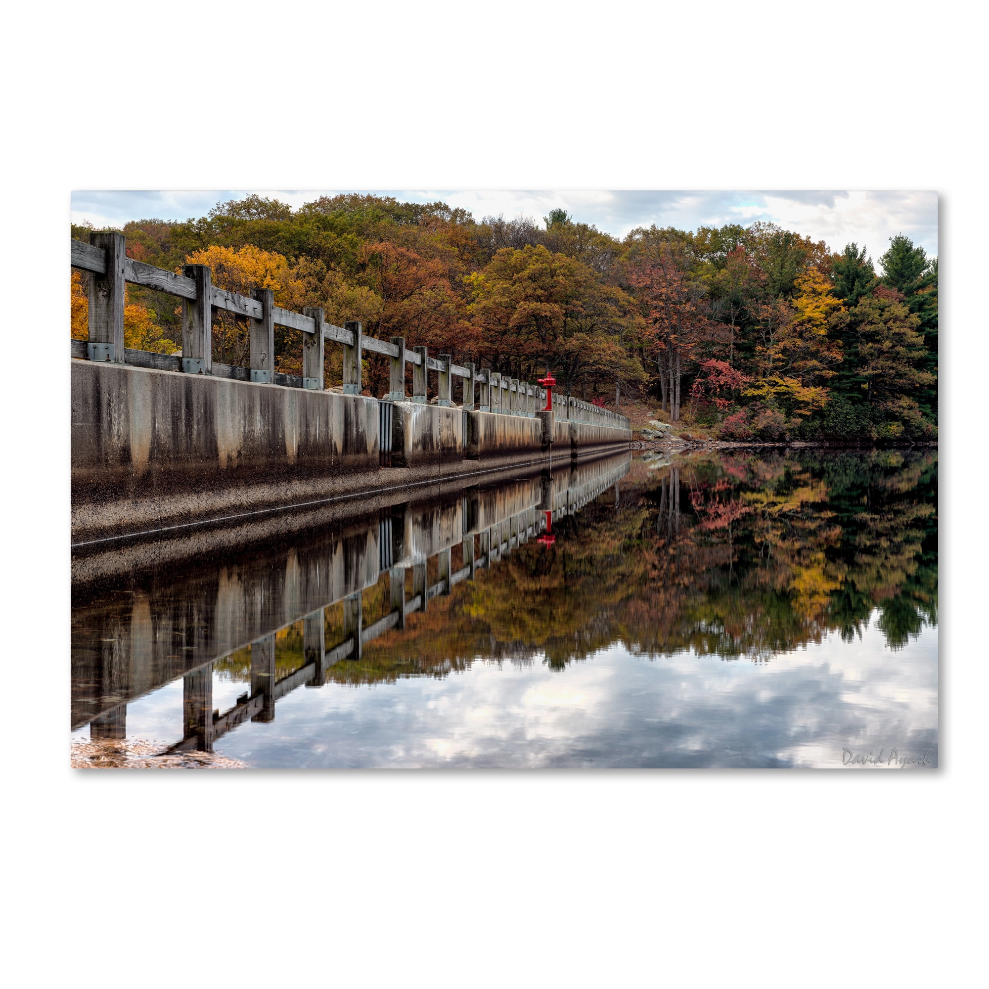 Trademark Fine Art "New York in Fall" Canvas Art by David Ayash