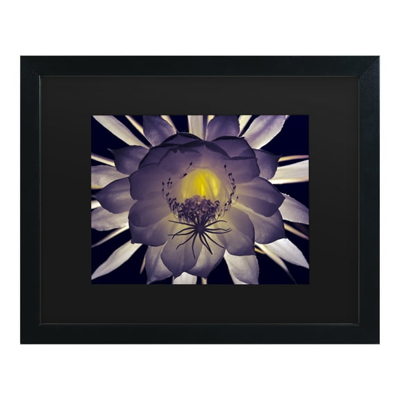 Trademark Fine Art 'Night Angel' Canvas Art by Kurt Shaffer