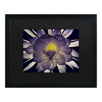 Trademark Fine Art 'Night Angel' Canvas Art by Kurt Shaffer