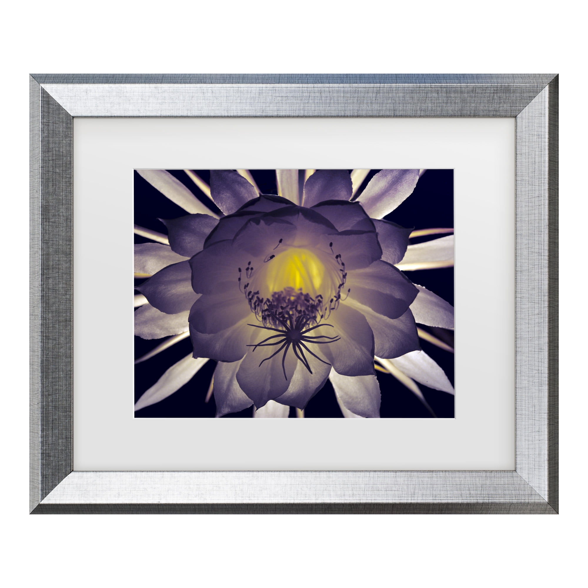 Trademark Fine Art 'Night Angel' Canvas Art by Kurt Shaffer
