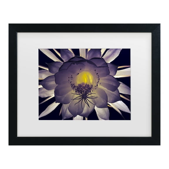 Trademark Fine Art 'Night Angel' Canvas Art by Kurt Shaffer