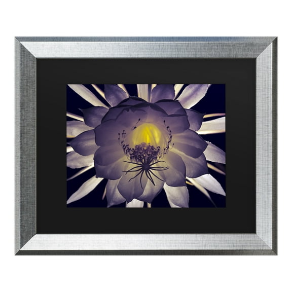 Trademark Fine Art 'Night Angel' Canvas Art by Kurt Shaffer