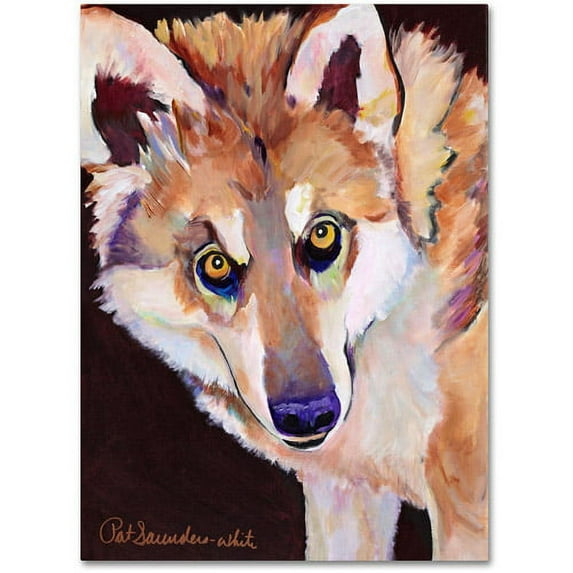 Trademark Fine Art "Night Eyes" Canvas Art by Pat Saunders