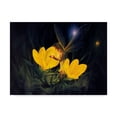 thumbnail image 1 of Trademark Fine Art 'Night Harvest Fairy' Canvas Art by Kirk Reinert, 1 of 3