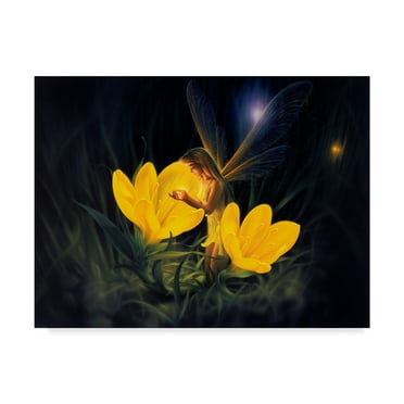 Trademark Fine Art 'Night Harvest Fairy' Canvas Art by Kirk Reinert